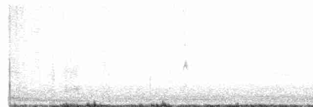 Eastern Meadowlark - ML283621811
