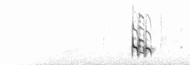 Короткоклювый бекасовидный веретенник - ML283623371
