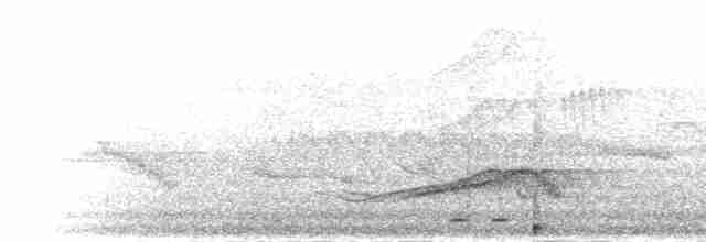 Сичик-горобець малий - ML283751