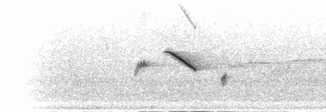 Long-tailed Minivet - ML283785