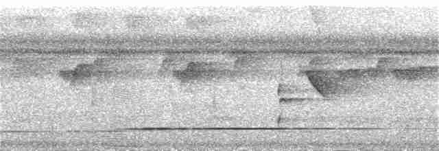 Tinamou varié - ML283811751