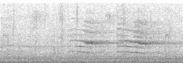 Шилоклювый дятел (auratus/luteus) - ML283812341