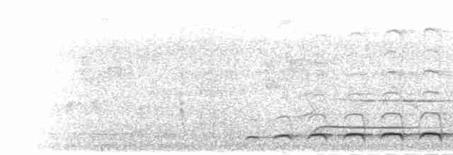 trogon růžovoocasý - ML283830