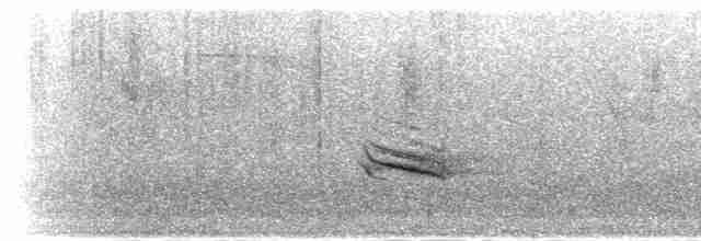 Пестрогорлая юхина - ML283837