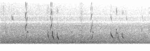 Короткоклювый бекасовидный веретенник - ML28387141