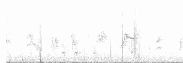 Пестрогрудая овсянка [группа schistacea] - ML283972091