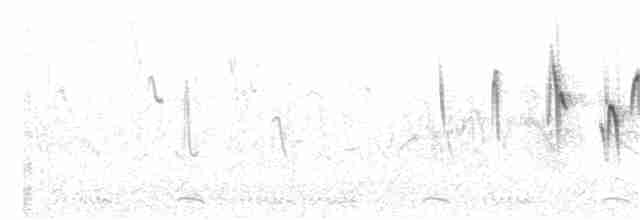 Savan Toygarı (alopex/intercedens) - ML28401701