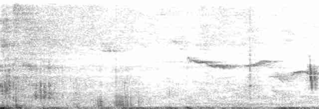 Münzevi Bülbül Ardıcı - ML284129651