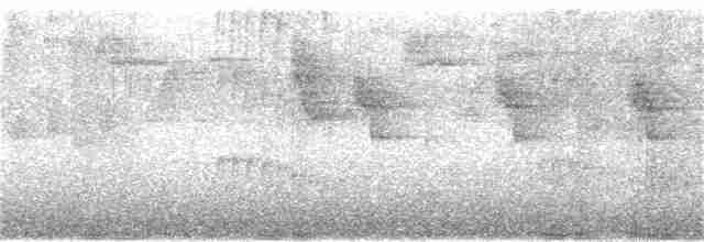 Colibri flavescent - ML284130571
