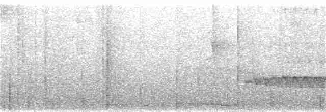 Spotted Woodcreeper (Berlepsch's) - ML284136981