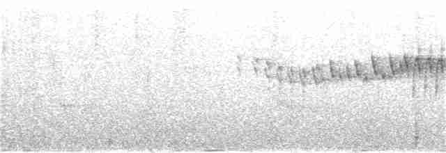 Three-striped Warbler (daedalus) - ML284137051