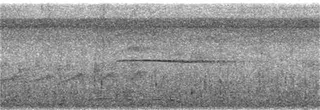 Berlepsch's Tinamou - ML284150931