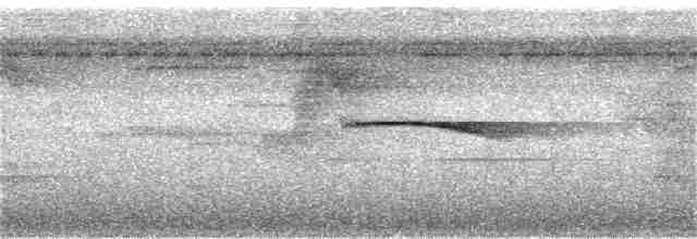 Tinamou de Berlepsch - ML284150961
