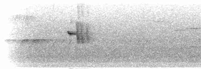 Weißbrauenschnäpper - ML284176