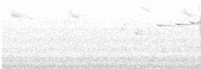 Kara Başlı Balkuşu - ML284201501