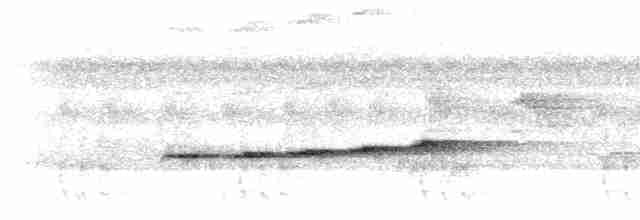 Fork-tailed Drongo-Cuckoo - ML284246