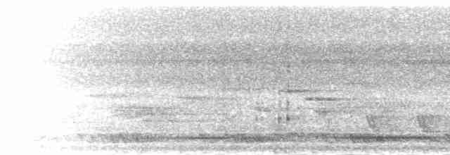 Белощёкая лесная куропатка - ML284252