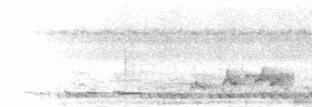 Белощёкая лесная куропатка - ML284254