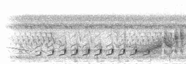 Paradoxornis de Gould - ML284281