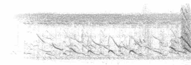 Кратеропа смугастоголова - ML284286