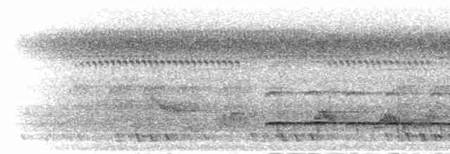 נקר אפור-ראש - ML284301