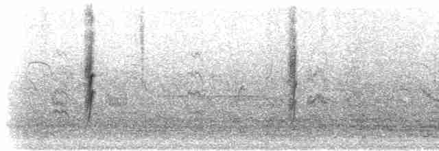 Ластівка ниткохвоста - ML284311