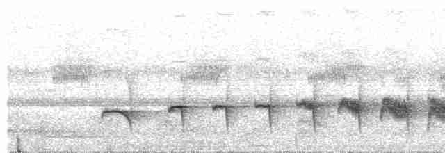 Мурав’янка-прудкокрил рондонійська - ML284352731