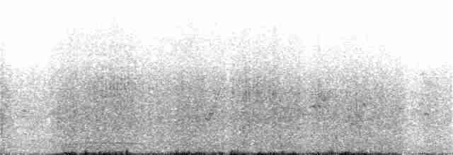 skjeggslangehals - ML284365131