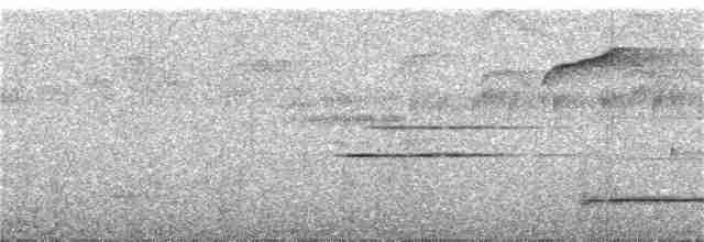svartsolitærtrost - ML284419321