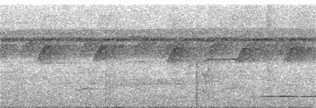 White-throated Tinamou - ML284427811