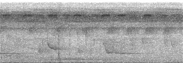 Bıyıklı Karıncaçıvgını (obscura) - ML284435981