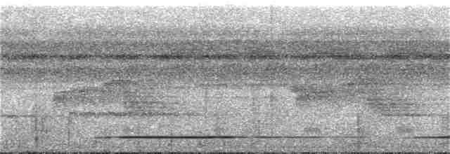 White-throated Tinamou - ML284545581