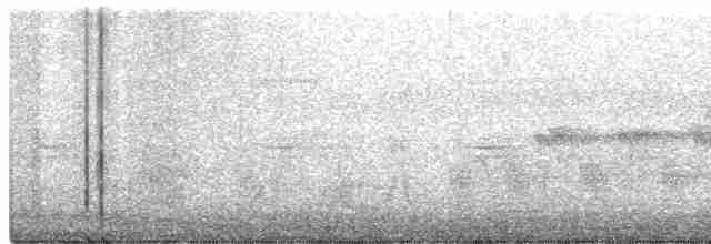 Spotless Crake - ML284551431
