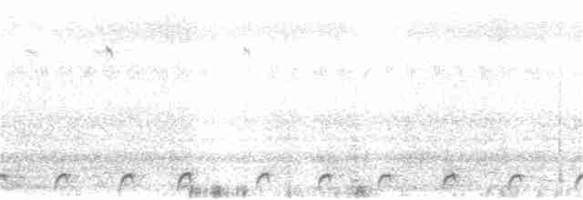 Indiennachtschwalbe - ML284601131