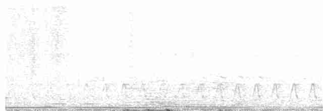 Slender-tailed Nightjar - ML284653811