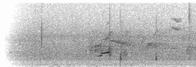 Орел-чубань гірський - ML284684
