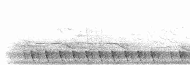 Gray Nightjar - ML284795