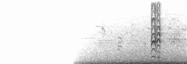 Gallinule poule-d'eau - ML284833301