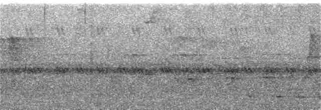 Mérulaxe de Stresemann - ML284850171