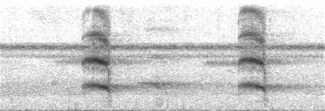 tukan volavý (ssp. ariel) - ML284855901