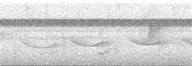 Band-tailed Antwren - ML284856191