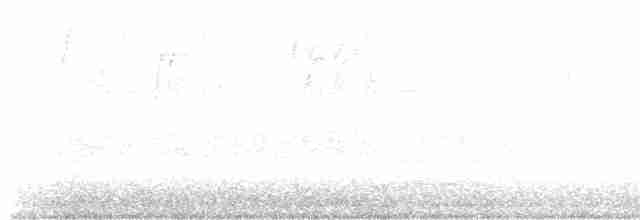 Поплітник каролінський - ML284874331