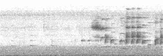 Gallinule africaine - ML284925371