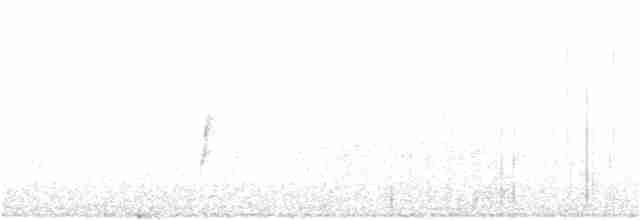 Ивовый мухолов - ML28495991