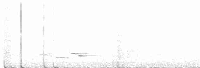 Graulappenvogel - ML284988001