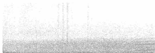 Южный ныряющий буревестник - ML284990031