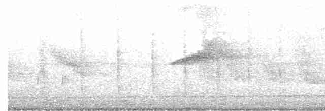 Oriental Magpie-Robin - ML284992661