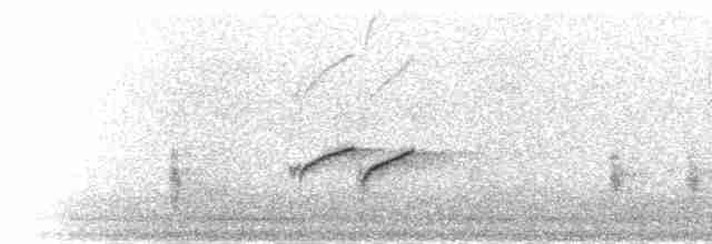長尾山椒鳥 - ML284998
