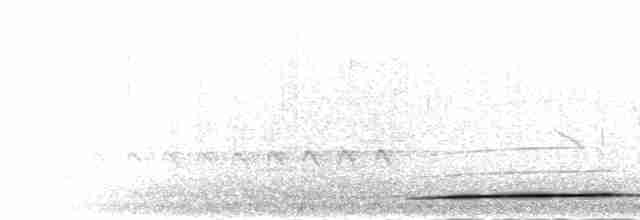 Воротничковая лесная куропатка - ML285001