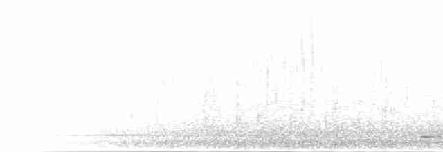 Воротничковая лесная куропатка - ML285002